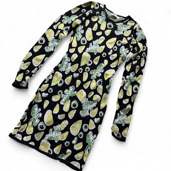OPENING CEREMONY • jacquard knit bodycon ginger lemon lime jalapeño dress xxs xs - Picture 2 of 8